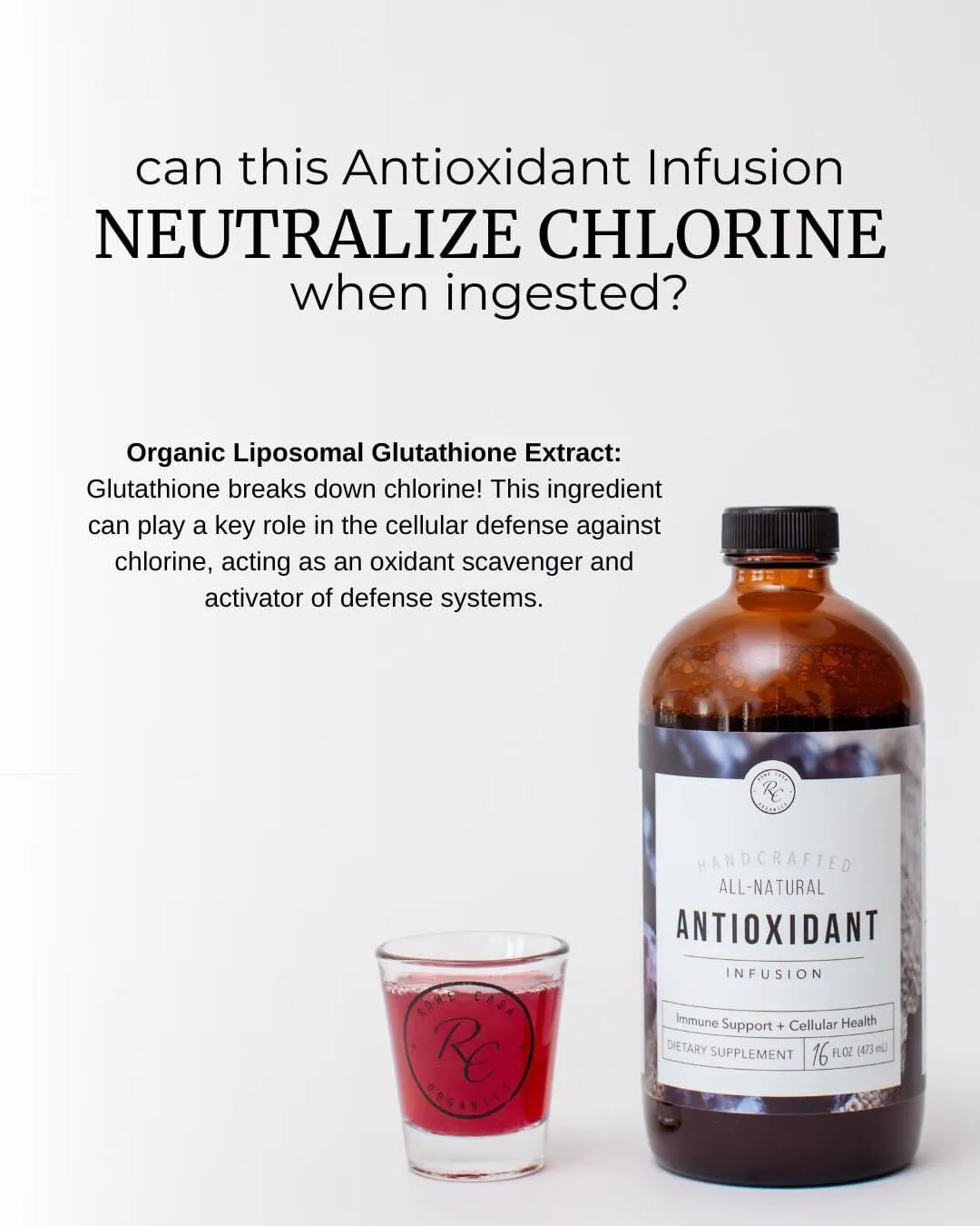 ANTIOXIDANT INFUSION | 16 oz