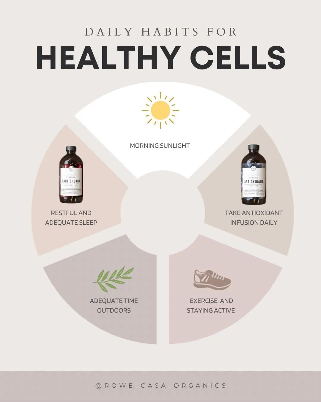 ANTIOXIDANT INFUSION | 16 oz
