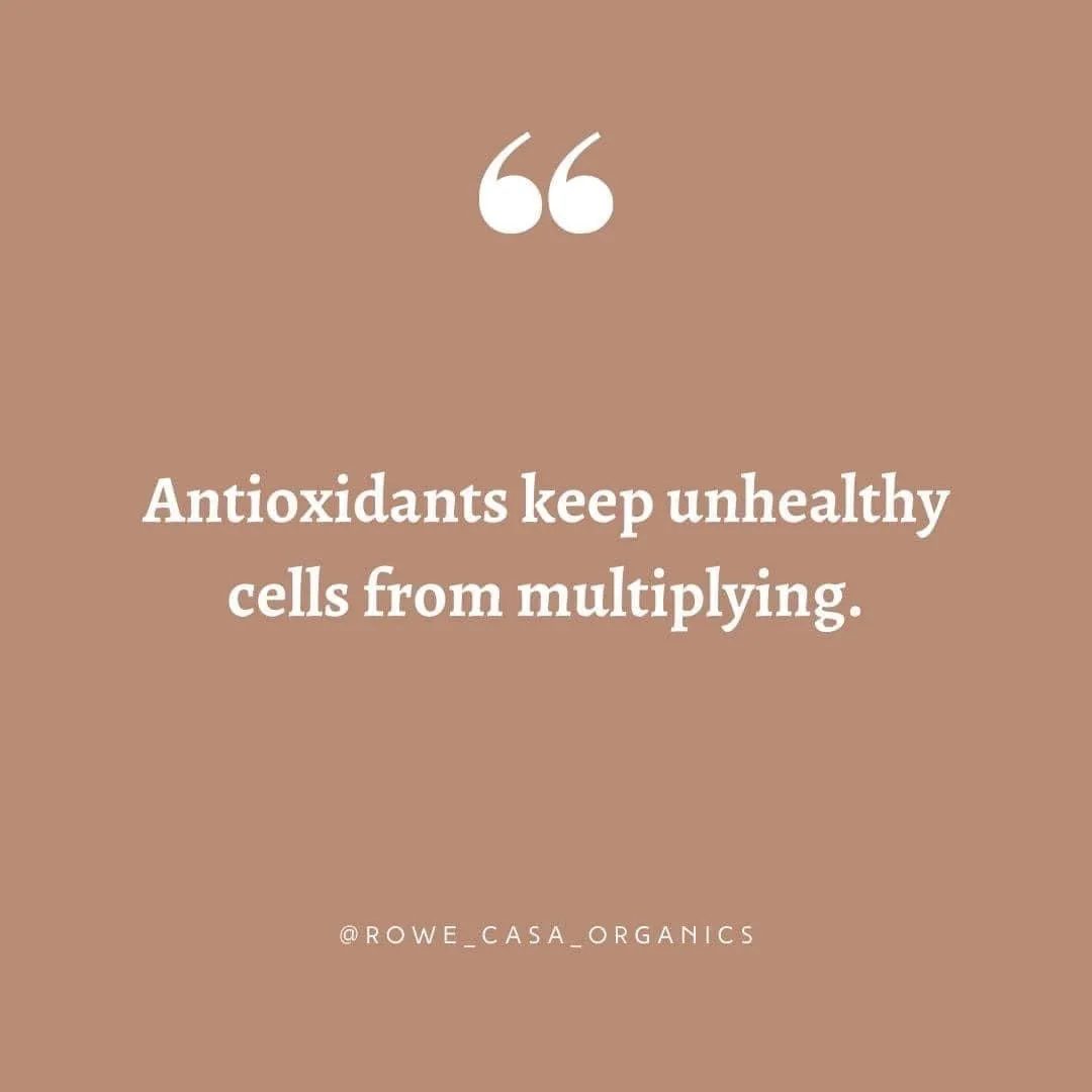 ANTIOXIDANT INFUSION | 16 oz