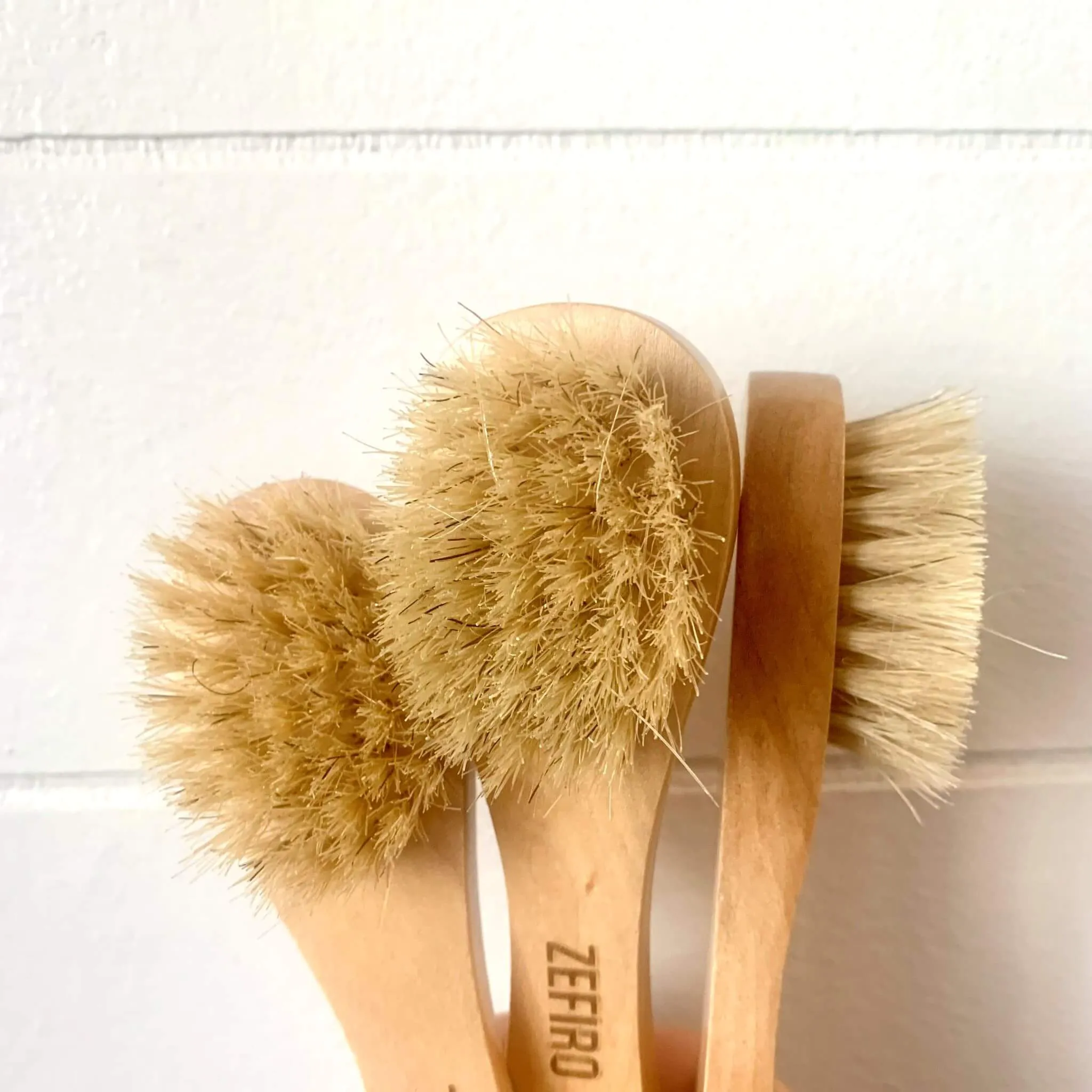 Dry/Wet Facial Brush