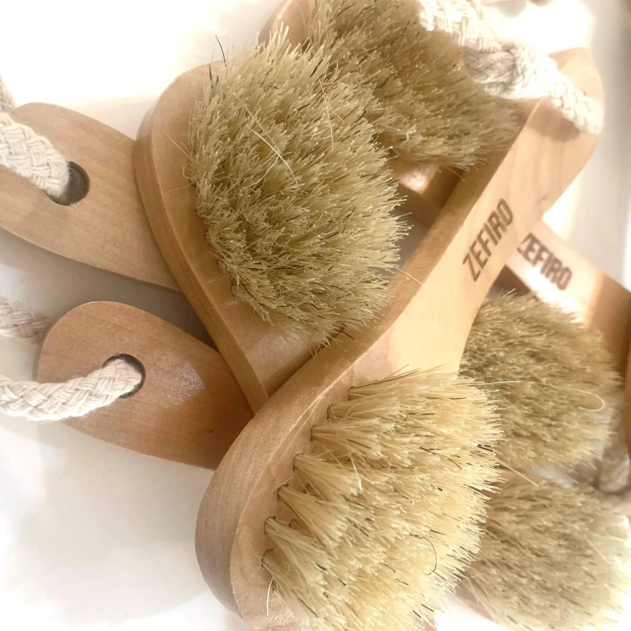 Dry/Wet Facial Brush