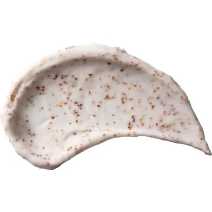 Exfoliating facial scrub made from peach and willow bark for deep cleansing of pores 113, 3 grams, Burt'S Bees