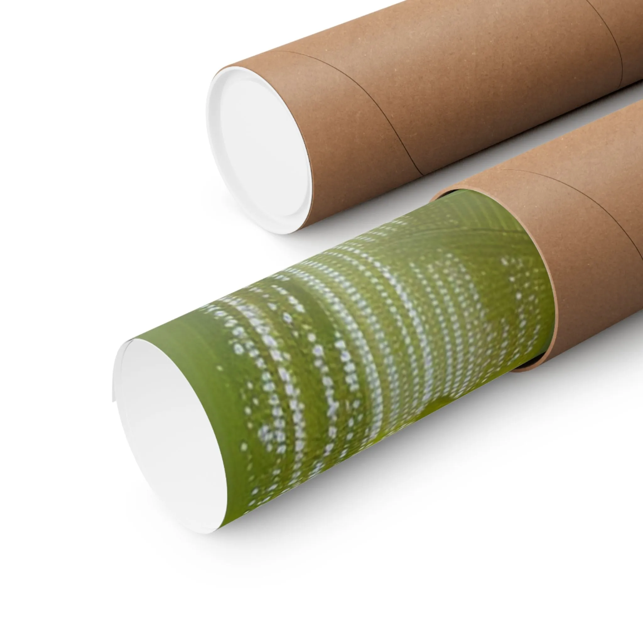 Matte Horizontal Posters