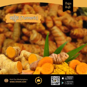  Turmeric 100kg
